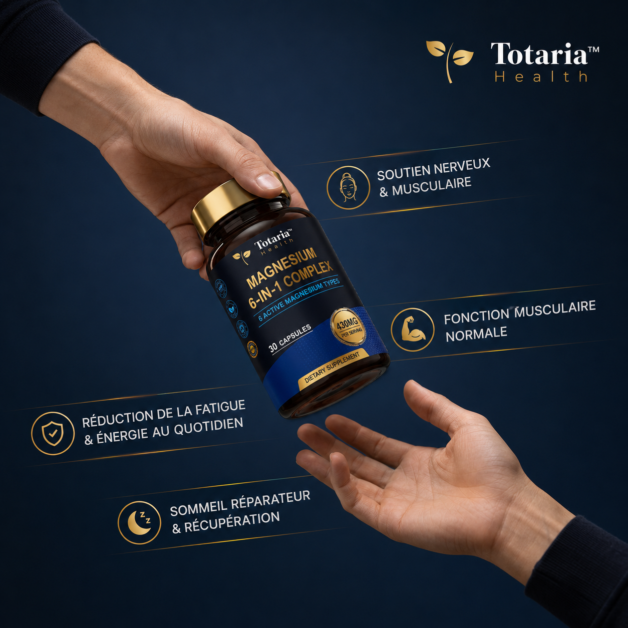 Totaria™ | Relaxation, Énergie & Confort Musculaire